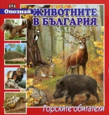 Опознай животните в България. Горските обитатели