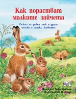 Как порастват малките зайчета