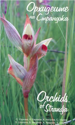 Орхидеите на Странджа / Orchids of Strandja