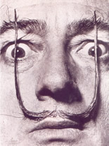 Dali - The paintings
