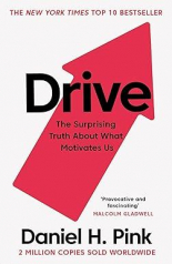 Drive: The Surprising Truth About What Motivates Us 