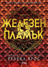 Железен пламък, книга 2