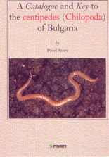 A Catalogue and Key to the centipedes (Chilopoda) of Bulgaria