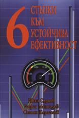 6 стъпки към устойчива ефективност