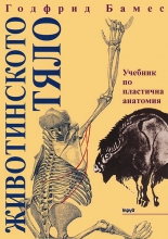 Животинското тяло - Учебник по пластична анатомия