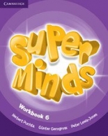 Super Minds Level 6 Workbook