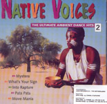 Native voices - the ultimate ambient dance hits 2 - CD
