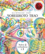 Магическият свят: Човешкото тяло