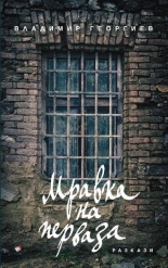 Мравка на перваза