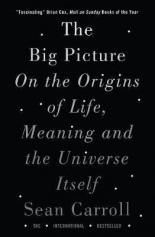 The Big Picture On the Origins of Life, Meaning, and the Universe Itself