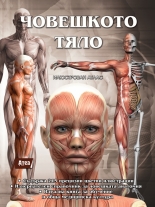 Човешкото тяло - илюстрован атлас