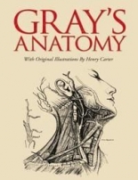 Grays Anatomy (Slipcase edition)