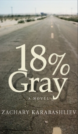 18% Gray - a novel