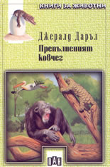 Препълненият ковчег