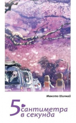 5 сантиметра в секунда