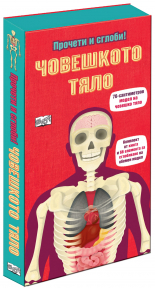 Човешкото тяло • Прочети и сглоби!