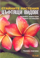 Стайните растения: цъфтящи видове