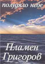 Полудяло небе