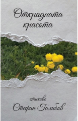 Открадната красота. Стихове