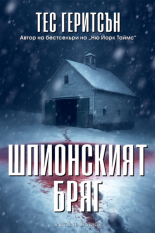 Шпионският бряг