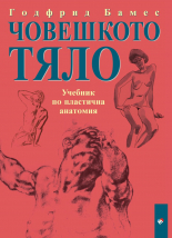 Човешкото тяло. Учебник по пластична анатомия - 2026