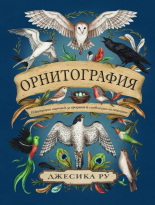 Орнитография