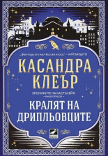 Хрониките на Кастълейн, книга 2: Кралят на дрипльовците