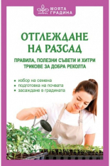 Отгaлеждане на разсад. Правила, полезни съвети и хитри трикове за добра реколта