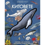 Отвътре навън: Китовете