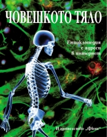 Човешкото тяло: енциклопедия с адреси в интернет