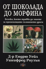 От шоколада до морфина