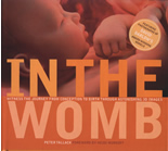 In the Womb