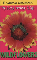 My First Pocket Guide: Wildflowers