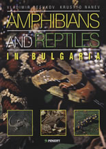 Amphibians and Reptiles In Bulgaria