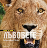 Очи в очи с лъвовете