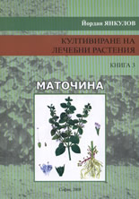Култивиране на лечебни растения, книга 3<br>Маточина