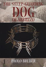The Sheep-Guarding Dog of Abruzzo
