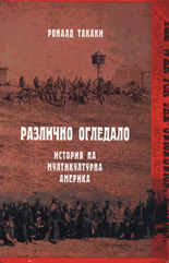 Различно огледало: История на мултикултурна Америка