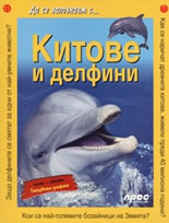 Да се запознаем с...: Китове и делфини