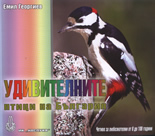 Удивителните птици на България