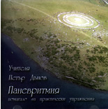 Паневритмия CD