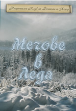 Мечове в леда