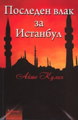 Последен влак за Истанбул