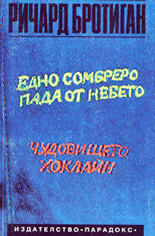 Едно сомбреро пада от небето