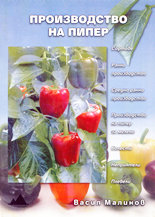 Производство на пипер