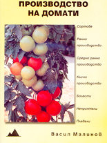 Производство на домати