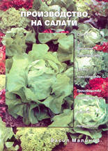 Производство на салати