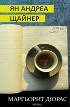 Ян Андреа Щайнер