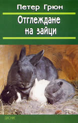 Отглеждане на зайци