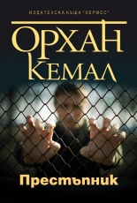 Възмездието, книга 1: Престъпник